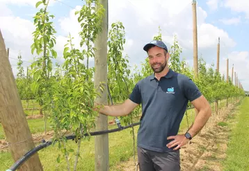 La poire était le choix de diversification le plus naturel pour Thomas Delfau.