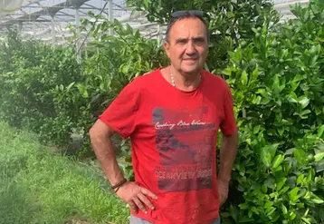 Guy Memoli, maraîcher à Châteauneuf-les-Martigues, Bouches-du-Rhône