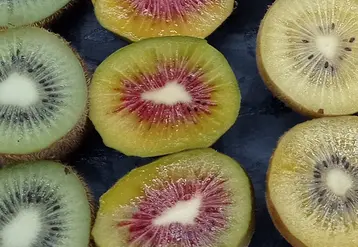Trois couleurs désormais dans la gamme kiwi.