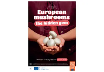 Affiche de la campagne de promotion du champignon européen : “European Mushrooms, the hidden gem”.