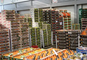 Etal d'agrumes sur le marché de rungis 