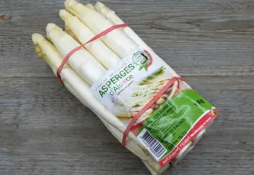 Botte d'asperges blanches alsaciennes. 