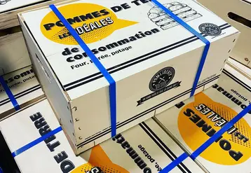conditionnements pommes de terre Pomliberty 