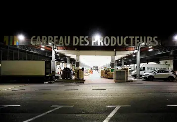 carreau des producteurs MIn de Marseille