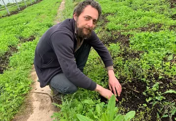 François Mulet, gérant du centre d'essais Les Serres de Marcel. « En cinq à six mois, en situation classique, les sols retrouvent leur dynamisme. »
