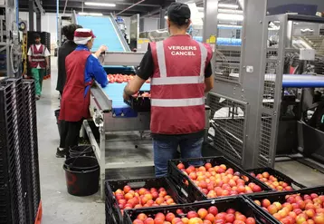 Ce sont près de 4 500 m² supplémentaires de conditionnement, d’espace de stockage et de chambres froides.