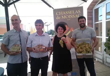 L'équipe du syndicat de défense du Chasselas de Moissac AOP a lancé la campagne 2023, avec une qualité au rendez-vous.
