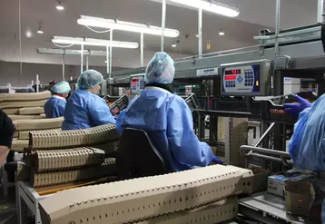 Le recrutement de la main-d’œuvre saisonnière étant difficile, un critère dans les investissements est toujours l’amélioration des conditions de travail.