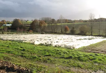 Plusieurs systèmes de culture sans pesticides chimiques sont possibles selon qu’ils reposent sur un niveau élevés d’intrants exogènes ou sur la diversification et les ...