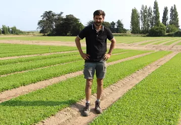 « Une avancée pour du maraîchage en sol vivant serait la création d’un semoir de semis direct pour les jeunes pousses », estime Florent Bonfils. 