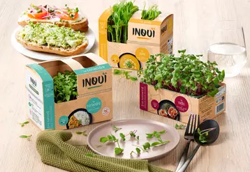 Vendue sous la marque Inouï, la gamme compte pour l’instant quatre références : pois, coriandre, radis et roquette. Le produit étant nouveau, la communication sur ...