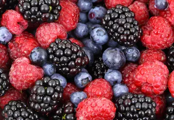Framboises, mûres, myrtilles.