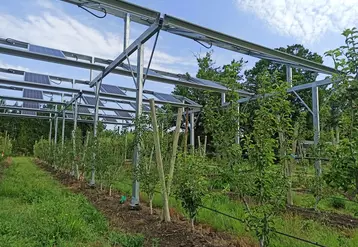 A la Sefra, un module d'expérimentation de panneaux mobiles à effacement permet d’évaluer les effets sur l’établissement des arbres et leur mise à fruits.