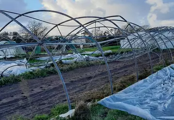 Les cultures maraîchères sous tunnel en Bretagne ont été particulièrement touchées par la tempête Ciaran.