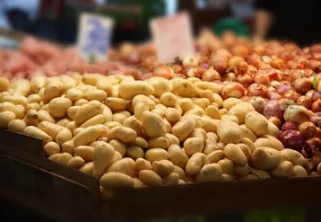 Des promotions en pommes de terre non justifiées en début de campagne pourraient inciter à plus d'achats en début de saison et provoquer un manque de produit en fin de ...