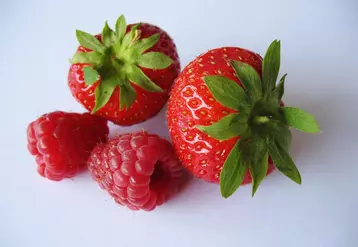 En 2023, les filières fraise et framboise se sont rapprochées pour créer l'AOPn Fraises et Framboises de France.