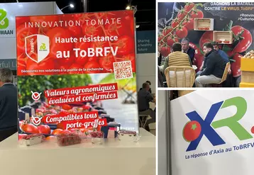 Trois stands vu au Sival 2O24 qui promeuvent leurs solutions face au virus de la tomate brune et rugueuse (ToBRFV)
