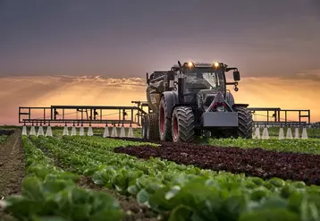 Tracteur, Laitue, Cultiver.