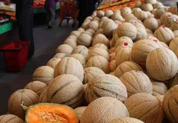 La présence du melon sur les étals français atteint son pic en juillet.