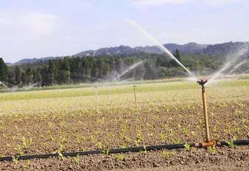 Des économies d'eau sont possibles sur l'irrigation des cultures de plein champ.