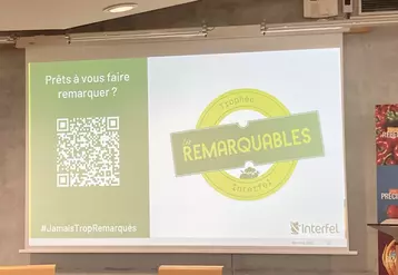 Slide de présentation Trophée Les Remarquables à l'AG du comité régional Interfel en mai 2024.
