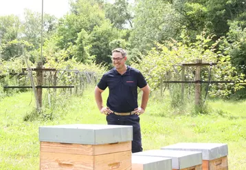 Kiwiculteur, Pierre Lassalle est aussi devenu apiculteur en suivant des formations proposées par Maïsadour .