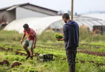 Les projets de ferme facilitent l’accès des candidats à des outils de production.