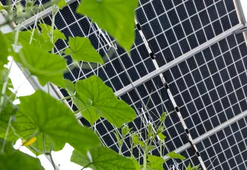L’agrivoltaïsme doit répondre au double objectif équitable de soutenir l’agriculture et d’accompagner la transition énergétique.