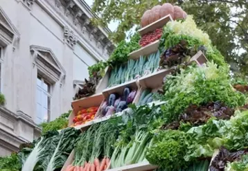 Légumes de France - pyramide de légumes