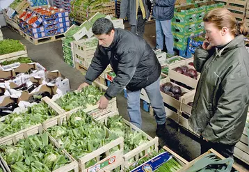 légumes commerce de gros