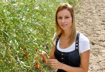 <em class="placeholder">« Nous avons fait le pari de planter 2,5 hectares de baies de goji alors que personne ne pouvait vraiment nous guider », explique Nancy Crivellaro, arboricultrice à ...</em>