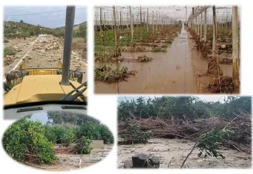 Captures d’écran de différentes photos montrant les dégâts suite à la tempête Dana dans le sud de l’Espagne.