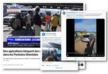 Captures d'écran de comptes X et de site internet de différents média, titrant sur le blocage des agriculteurs à Perpignan.