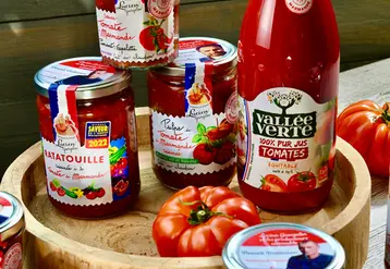 <em class="placeholder">marque Tomate de Marmande</em>