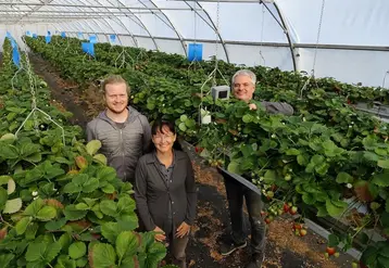 <em class="placeholder">producteurs de fraises de Sicoly</em>