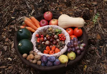 Une corbeille de fruits et légumes d'automne posée sur la terre