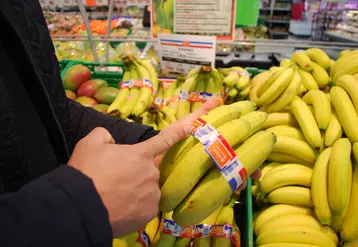 Une main de bananes enrubannée en bleu blanc rouge, dans un rayon de fruits et légumes de la grande distribution.