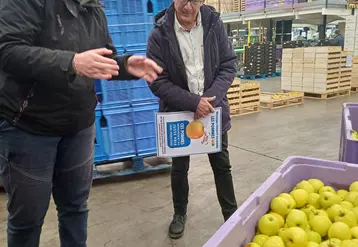 Des sociétaires de C'est Qui Le Patron en visite dans une station fruitière de pomme