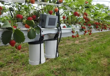 <em class="placeholder">outil Agricapt serre</em>