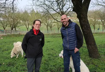 <em class="placeholder">Cédric Ruzzin, nuciculteur et éleveur, est à l’origine de la transhumance et du pâturage sous les noyers de sa commune. Ici, avec Delphine Sneedse de la Senura.</em>