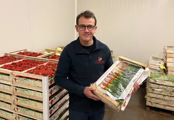 Olivier Lemouzy tenant une cagette de légumes, avec un arrière fond des palettes de fraises et des palettes de salades