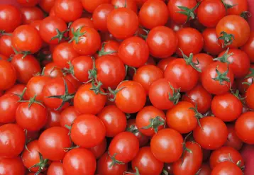 Tomates cerise en vrac, origine indéfinie. 