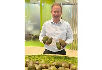 Zac Bard président de la WAO sur un stand à Fruit Logistica tient dans ses mains des avocats