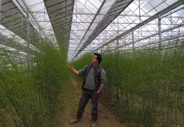 <em class="placeholder">Benoît de Flaujac dans la végétation de sa plantation d&#039;asperges de l&#039;année sous serre photovoltaïque. </em>