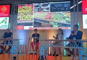 4 personnes sur une scène débattent, en arrière plan un écran montre une photo d'un rayon de pommes