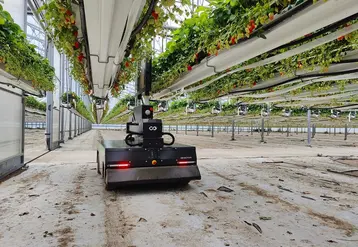 <em class="placeholder">Les serres doivent être adaptées aux spécificités du robot – sol plat, gouttières – pour faciliter et sécuriser ses déplacements et accepter un temps ...</em>