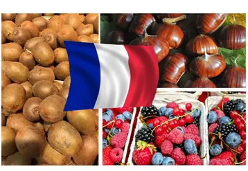 Des kiwis, petits fruits rouges et des châtaignes barrées d'un drapeau français.