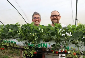 Dorothée et Antton DIRATCHETTE, associés du Gaec Lekuberri, dans leurs serres de production de fraises.
