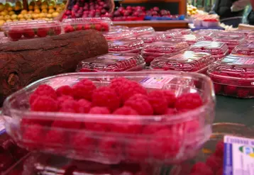 <em class="placeholder">Barquettes de framboises importées sur un étal de supermarché.</em>
