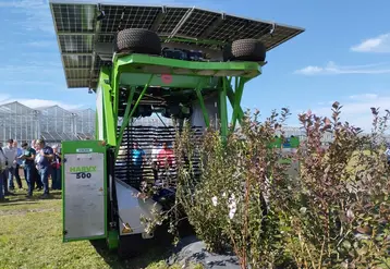 <em class="placeholder">Harvy 500, la récolteuse à myrtilles électrique de Fine Feld</em>